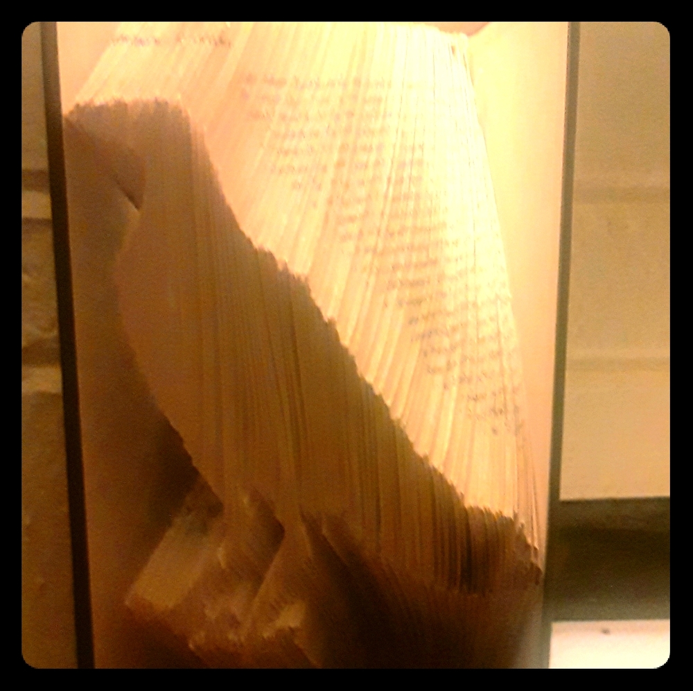 Original Book Art Raven